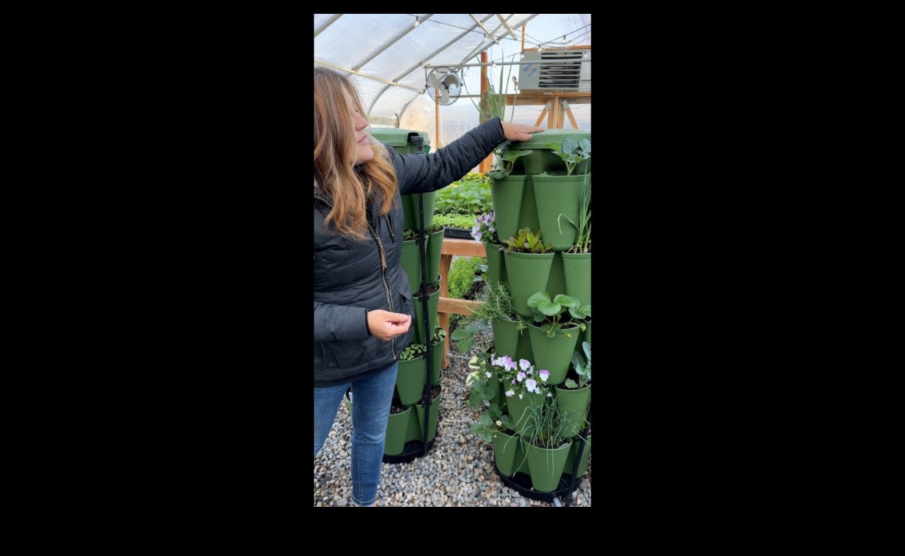 Reaching New Pinnacles: Vertical Gardening Splendors