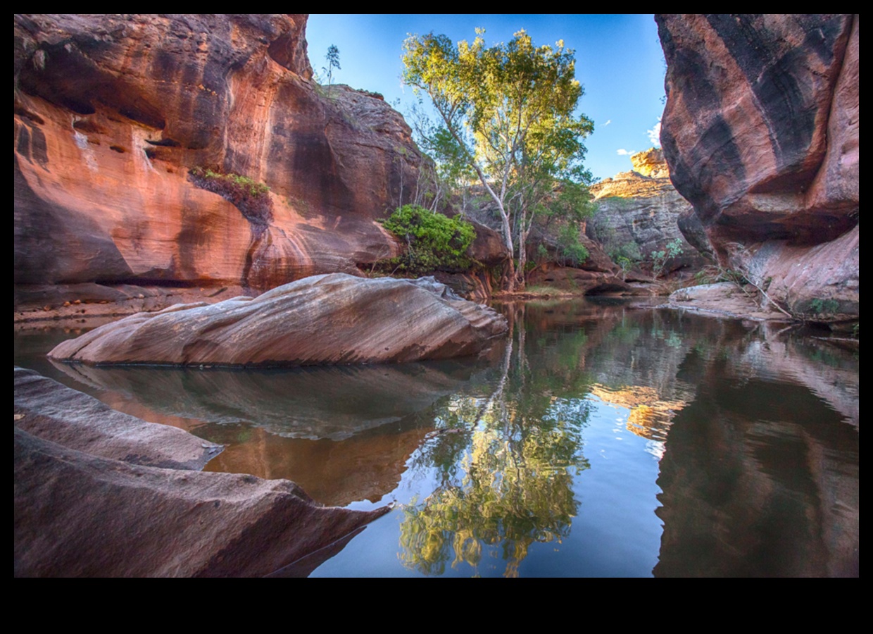 Οικολογικά Αποθέματα: Τα ασφαλή καταφύγια της φύσης