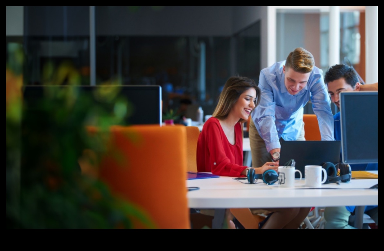 Startup Voyagers: Navigating the Sea of ​​Entrepreneurship