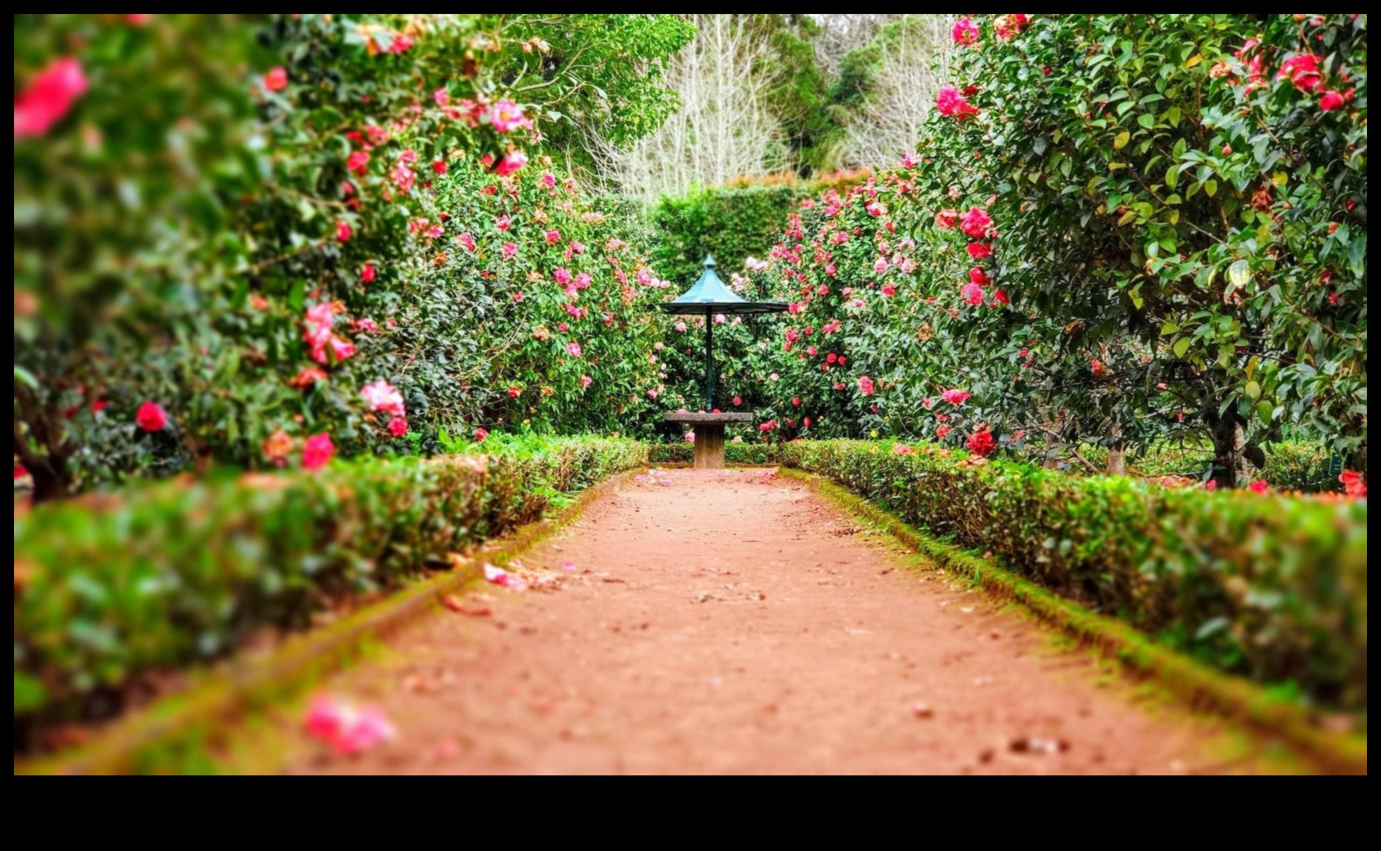 Sculpted Serenity: Chic Accents for a Stylish Garden