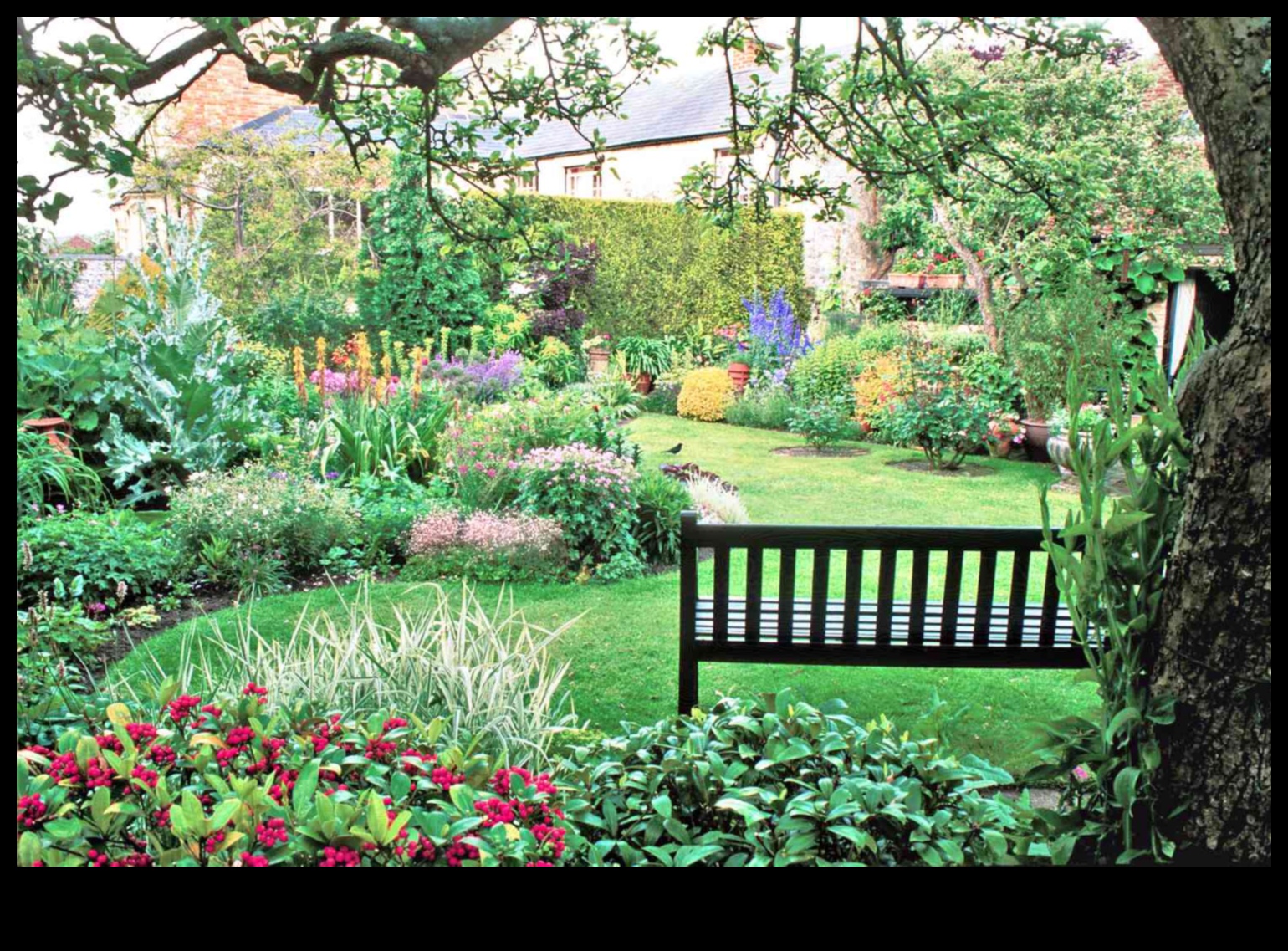 Charm in Every Corner: Garden Design Inspirations
