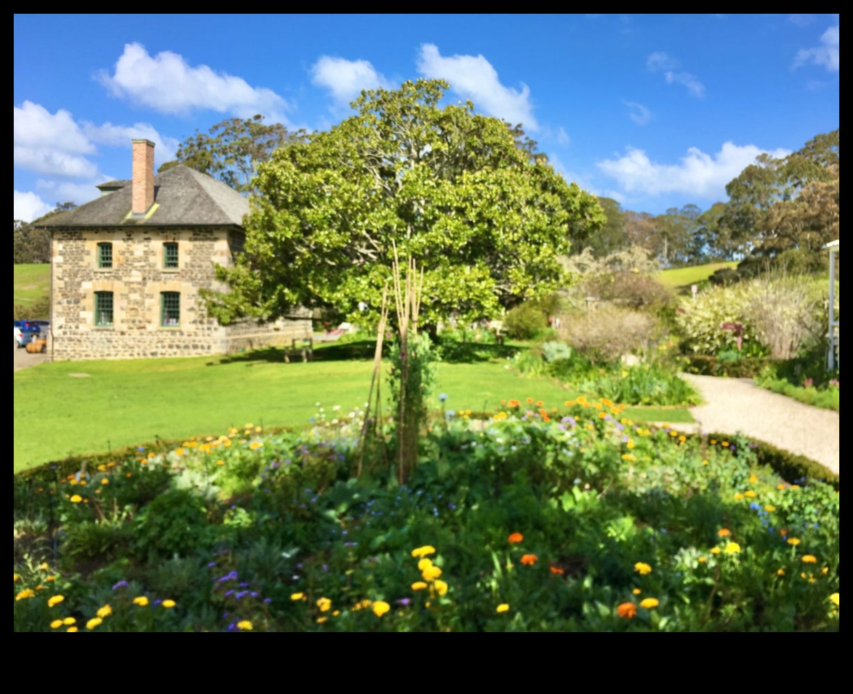 Sustainable Serenity: Organic Gardens for Balanced Living