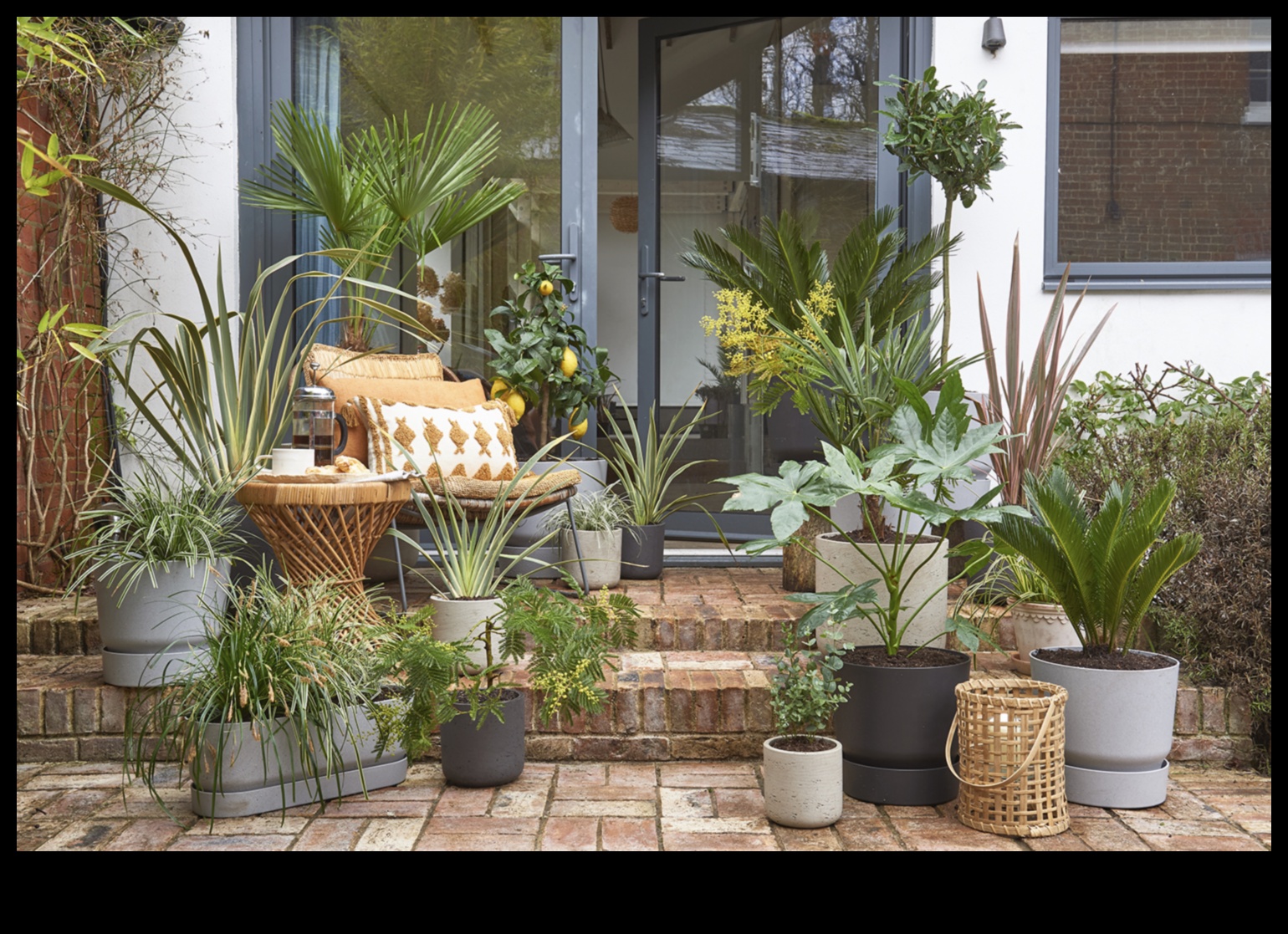 Budget-Friendly Blooms: DIY Garden Projects That Shine