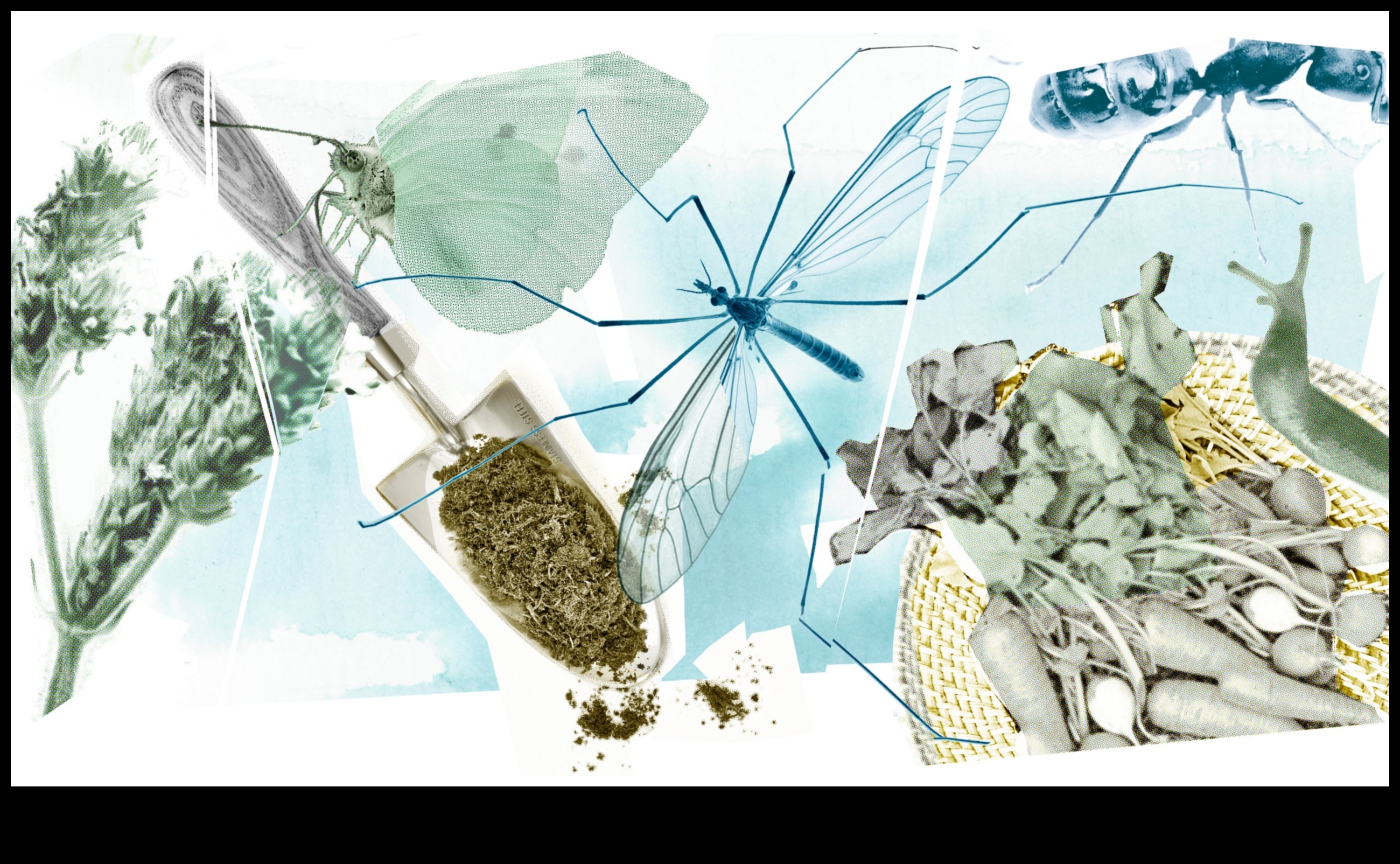 Βγάζω; Αντιμετωπίστε τα παράσιτα του κήπου με ευκολία