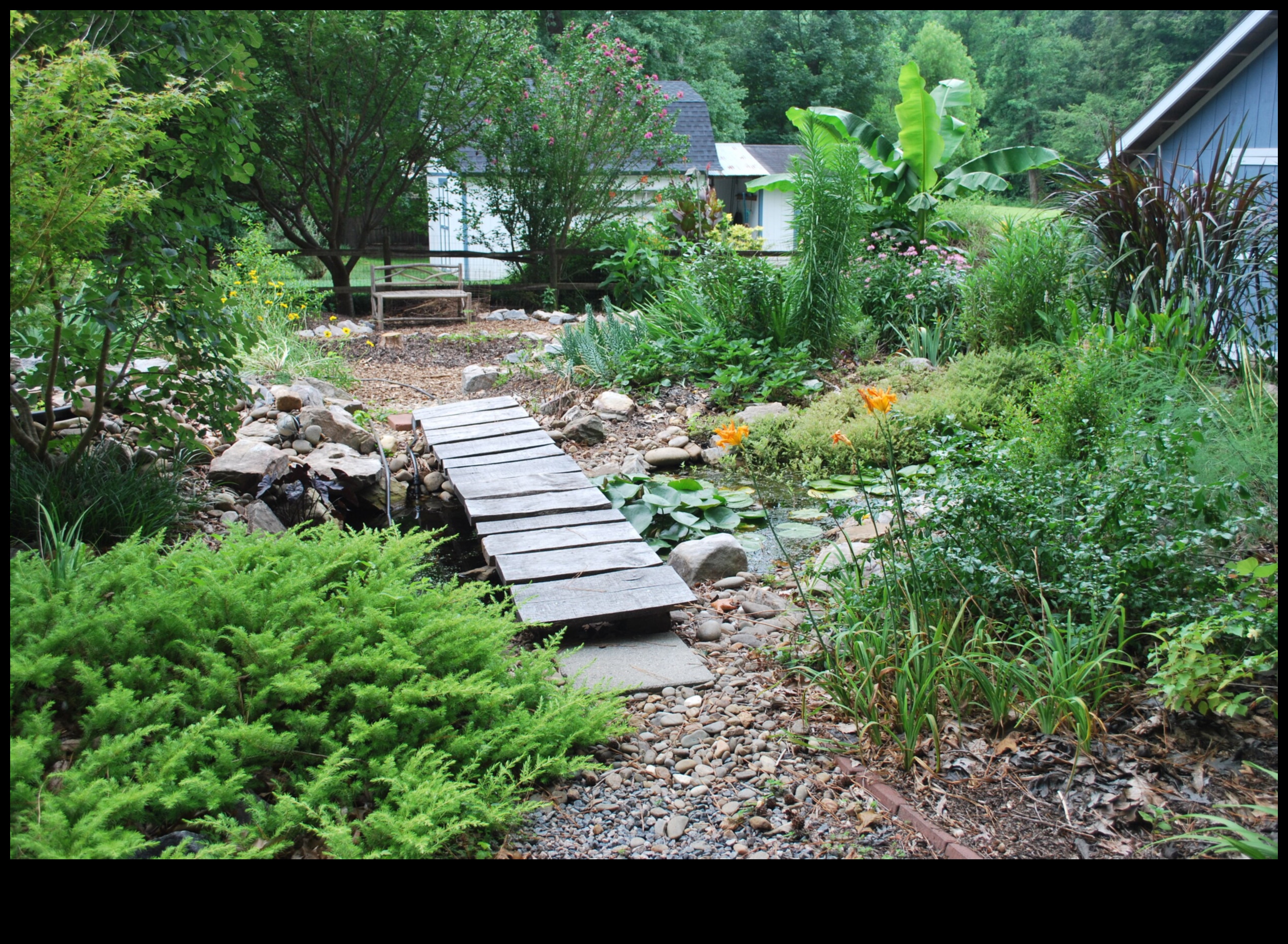 Garden Harmony: Εξισορρόπηση ομορφιάς και αποτελεσματικότητας στη φροντίδα