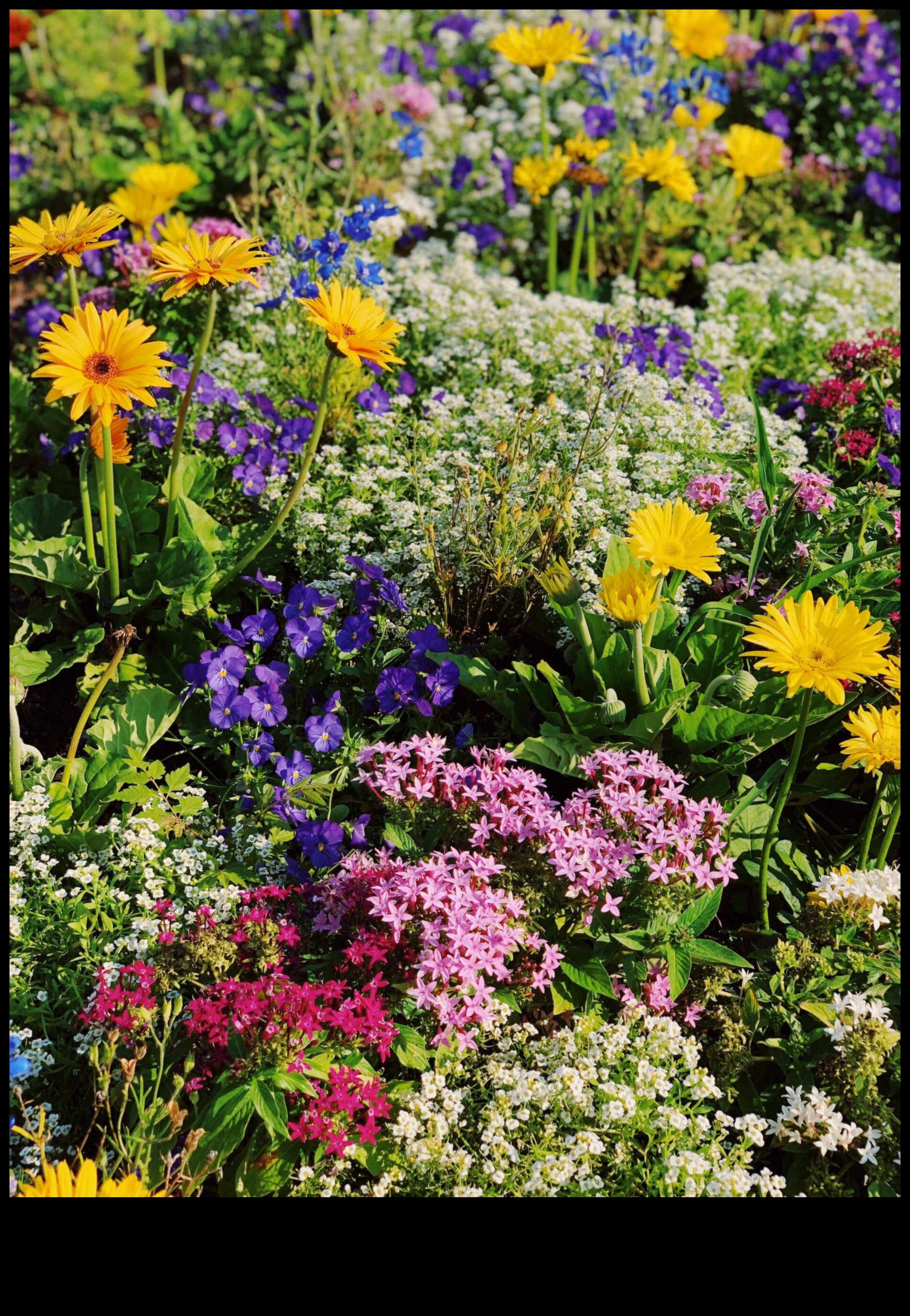 Garden Harmony: Εξισορρόπηση ομορφιάς και αποτελεσματικότητας στη φροντίδα