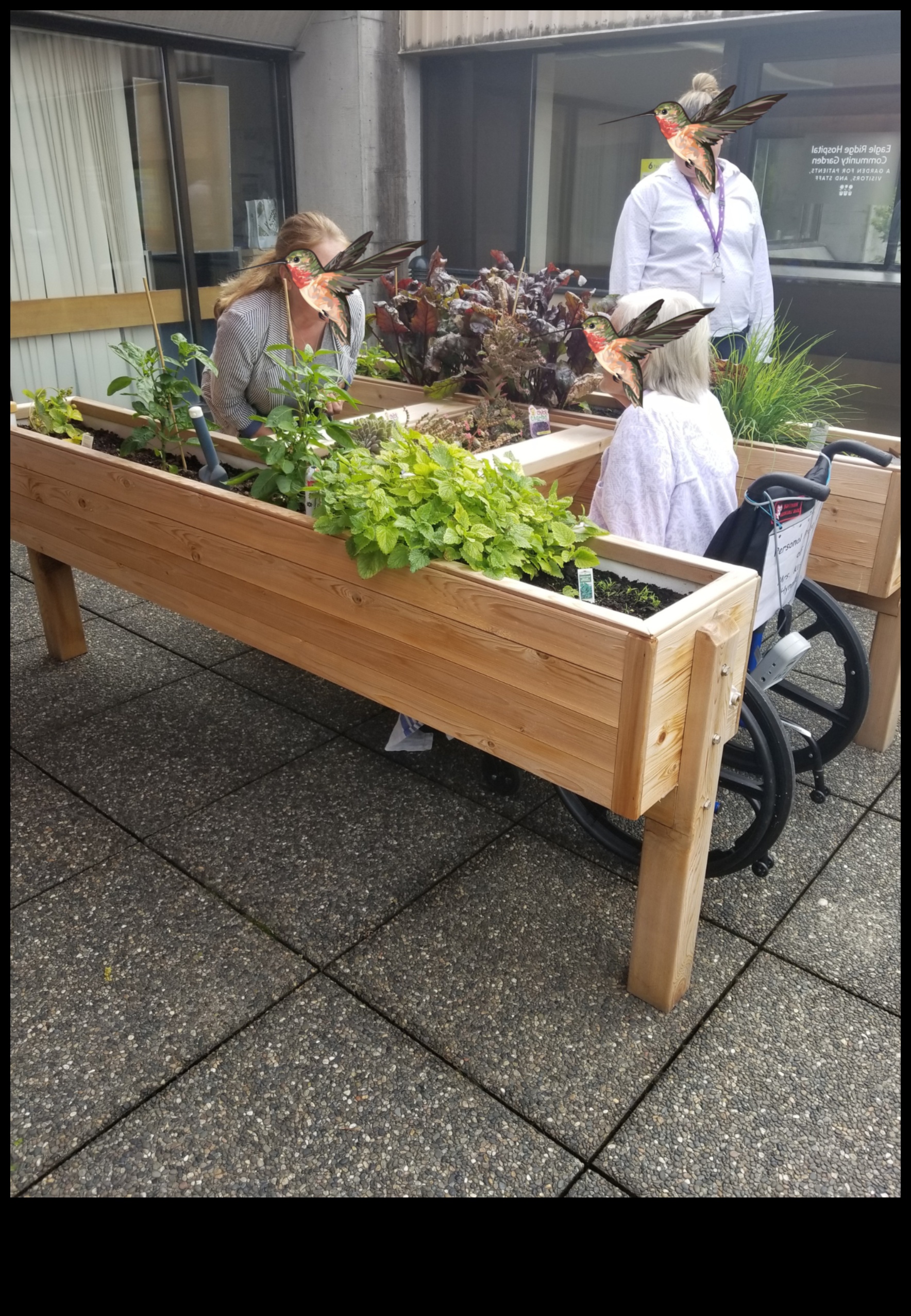 Garden Harmony: Εξισορρόπηση ομορφιάς και αποτελεσματικότητας στη φροντίδα