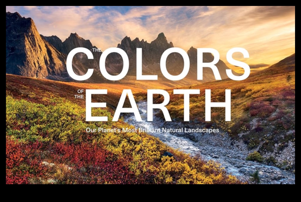 A Symphony of Seasons: Nature's Ever-changing Palette