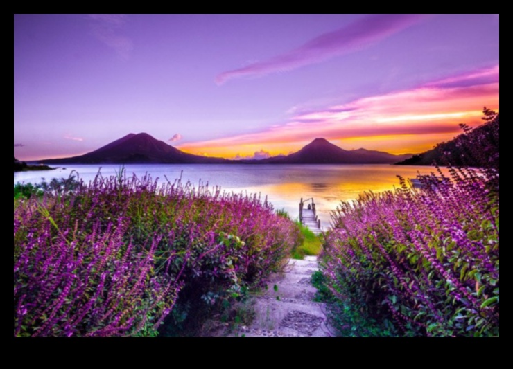 A Symphony of Seasons: Nature's Ever-changing Palette