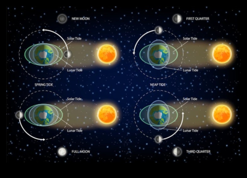Gravitational Harmony: The Dance of Celestial Bodies in Space