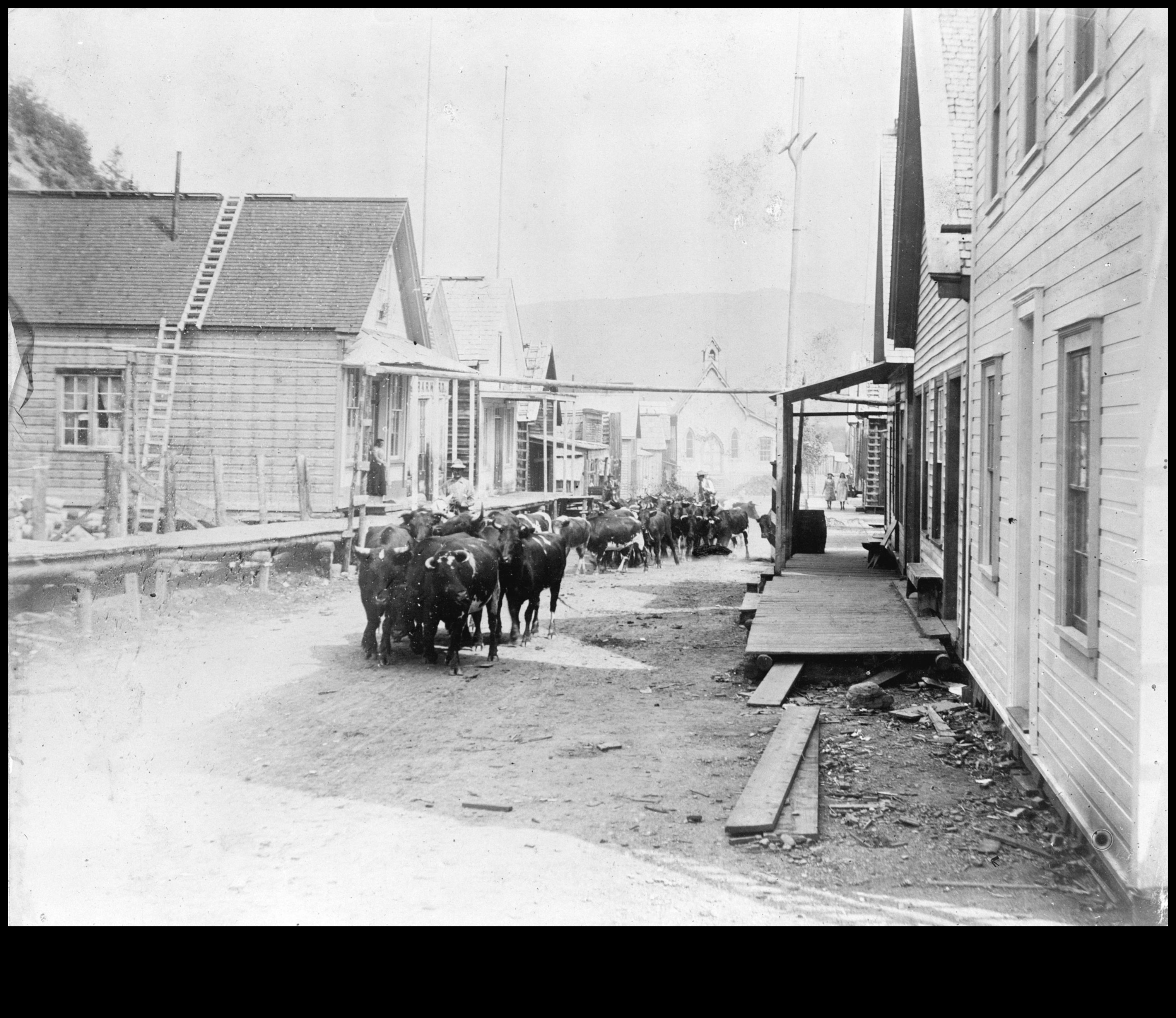 Urban Wildlife: Nature Thurving in Cityscapes