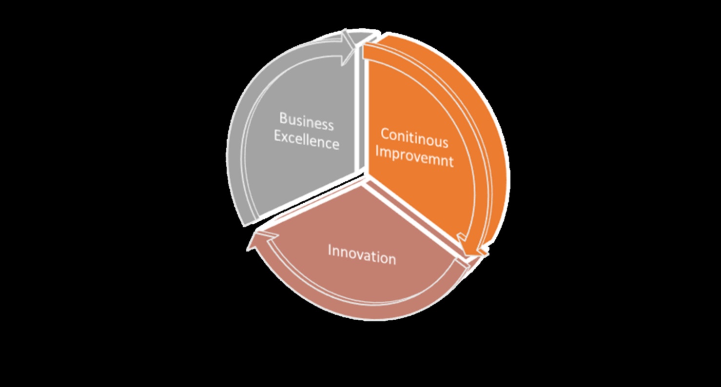 Innovation Surge: Navigating the Dynamics of Business Excellence