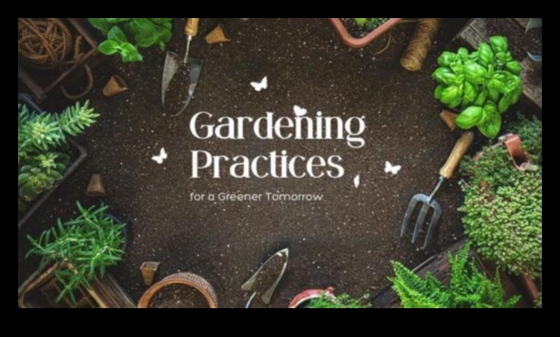 Harmony in Horticulture: Ενορχηστρώνοντας την ομορφιά της φύσης