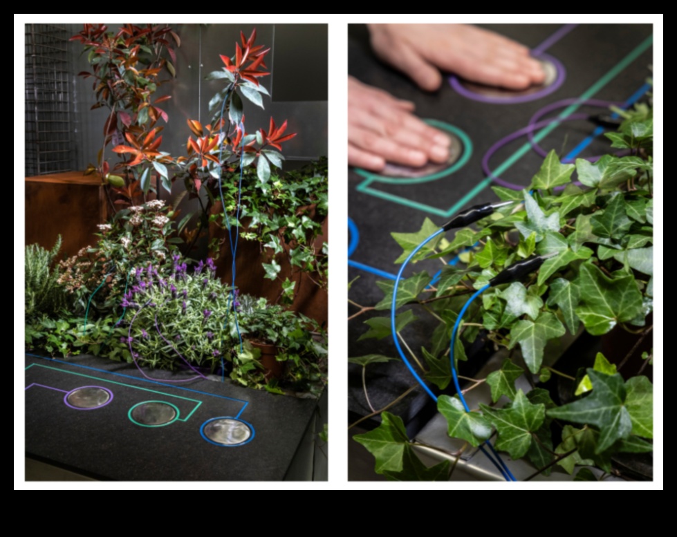 Harmony in Horticulture: Ενορχηστρώνοντας την ομορφιά της φύσης