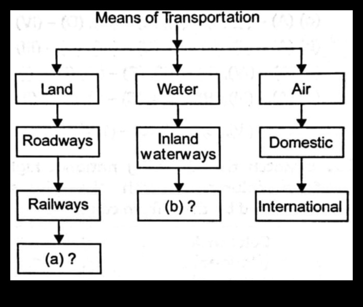 Lifelines of the Land 5 Rivers and Streams: Nature's Lifelines