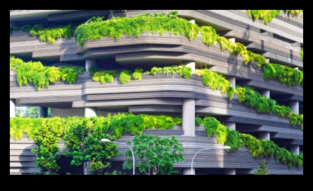 Αστική Χλωρίδα: Φυτά και λουλούδια στα πάρκα της πόλης