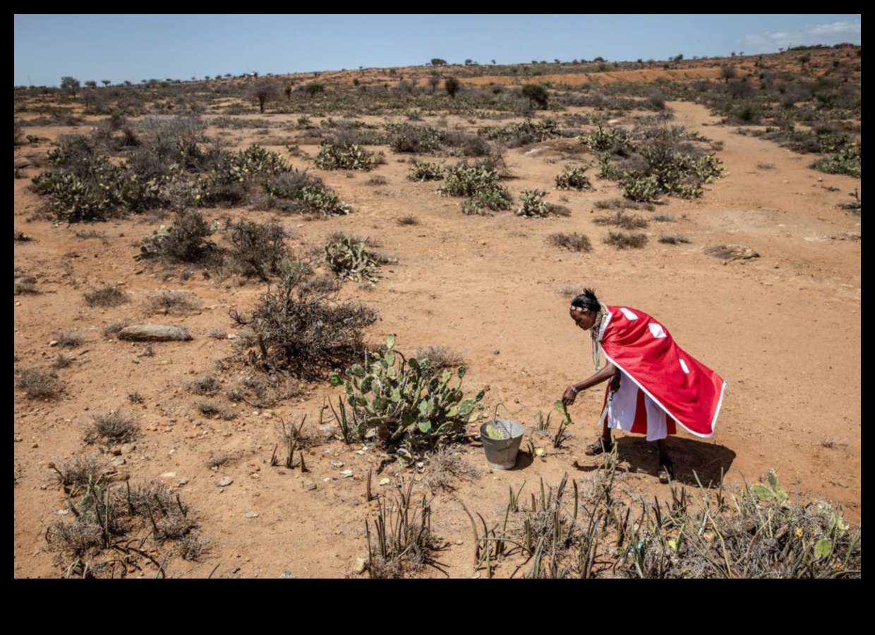 Γιατί ορισμένα τοπία είναι πιο επιρρεπή στα χωροκατακτητικά είδη ζώων;