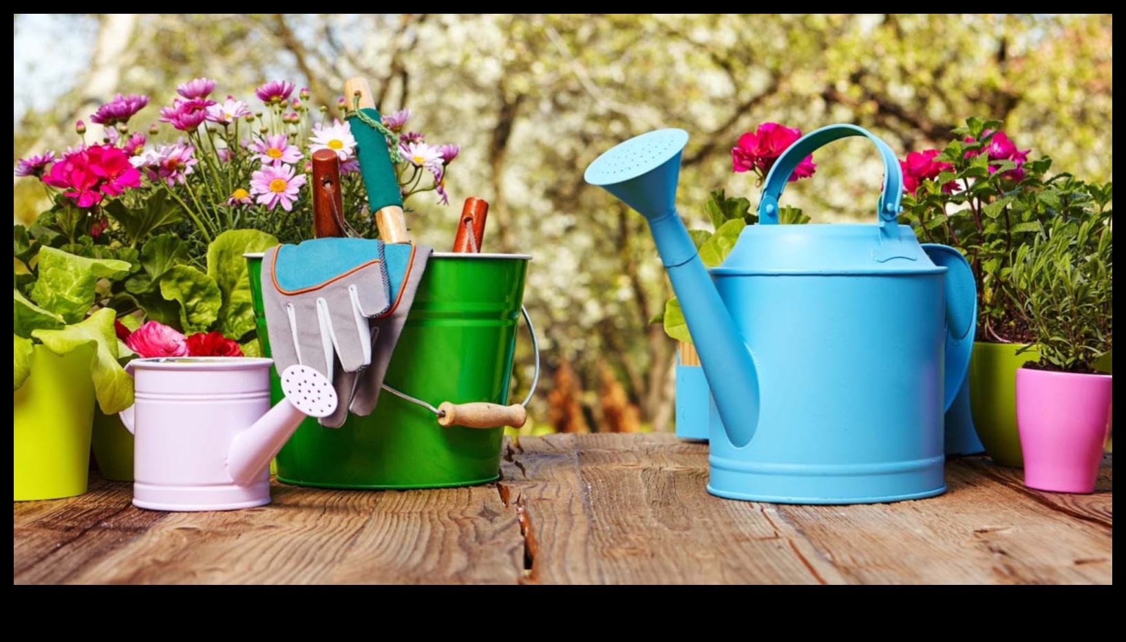 Bloom with Brilliance: Must-Have Garden Equipment Defined