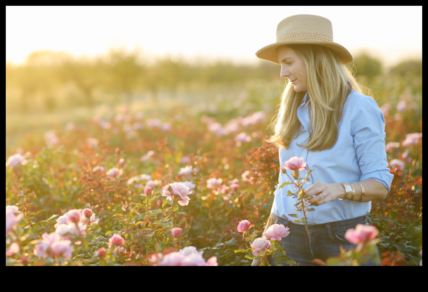 Bouncing Blossoms Παιχνιδιάρικο φυτώριο λουλουδιών Πληροφορίες για την υγεία για ένα υγιές σπίτι 2 Bouncing Blossoms: Playful Floral Nursery Health Insights