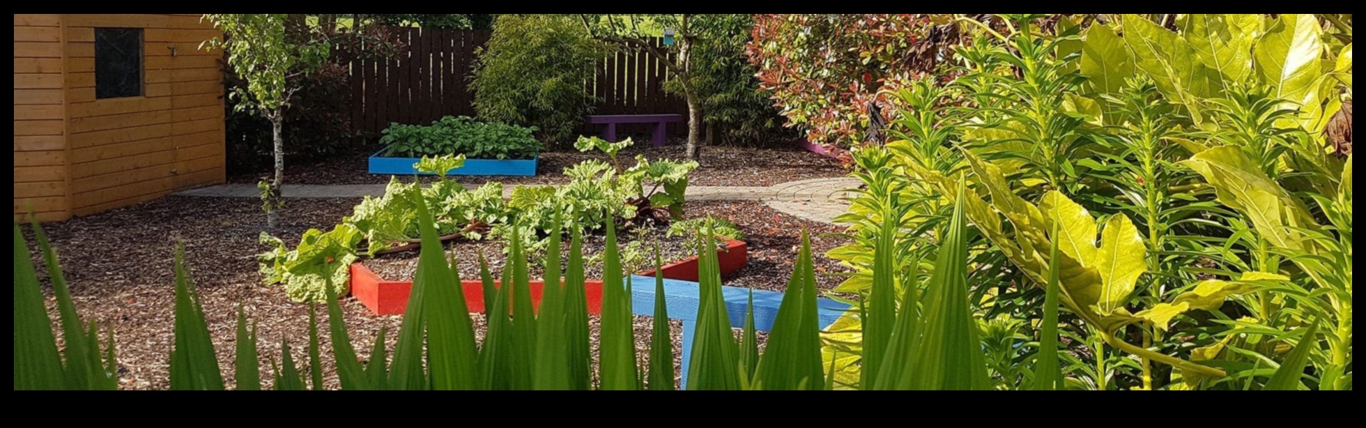 Bouncing Blossoms Παιχνιδιάρικο φυτώριο λουλουδιών Insights για την υγεία για ένα υγιές σπίτι 4 Bouncing Blossoms: Playful Floral Nursery Health Insights