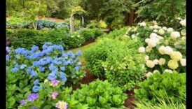 Blossom Trails: Crafting Enchanted Gardens with Cottages