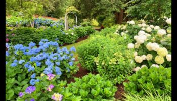 Blossom Trails: Crafting Enchanted Gardens with Cottages