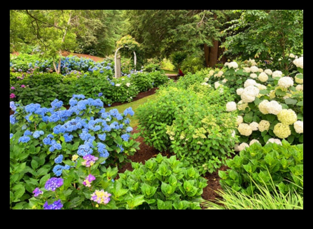 Blossom Trails: Crafting Enchanted Gardens with Cottages