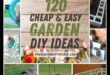 Budget-Friendly Blooms: DIY Garden Projects That Shine