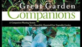 Floral Fusion: Mastering the Craft of Companion Planting