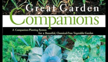 Floral Fusion: Mastering the Craft of Companion Planting