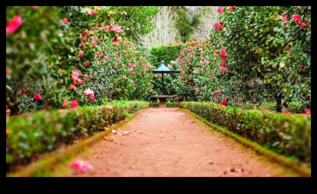 Garden Harmony: Εξισορρόπηση ομορφιάς και αποτελεσματικότητας στη φροντίδα