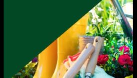 Green Thumb Chronicles: Stories from Horticulture Enthusiasts