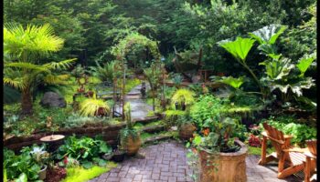 Greenery Grandeur: Marvelous DIYs for Stunning Gardens