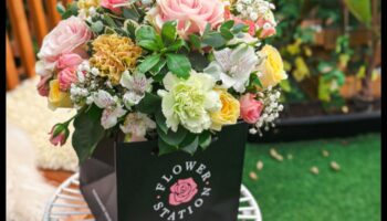 Harmony in Bloom: Αναβαθμίστε τον εξοπλισμό κήπου σας για επιτυχία