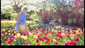 Harmony in Horticulture: Ενορχηστρώνοντας την ομορφιά της φύσης