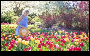Harmony in Horticulture: Ενορχηστρώνοντας την ομορφιά της φύσης