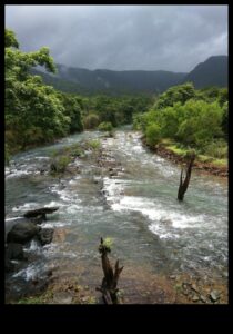 Rivers and Streams: Nature's Lifelines