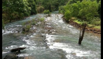 Rivers and Streams: Nature's Lifelines