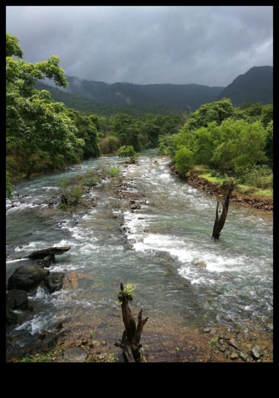Rivers and Streams: Nature's Lifelines