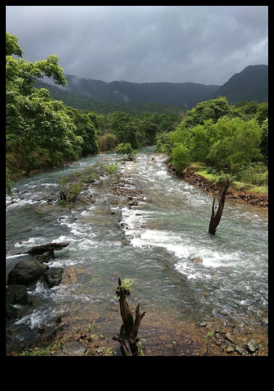 Lifelines of the Land 1 Rivers and Streams: Nature's Lifelines