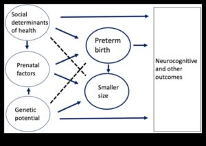 Nature's Nurturer: Προώθηση της Ολιστικής Ανάπτυξης στα Βρέφη