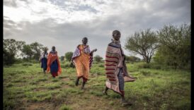 Αυτόχθονα και Φυλετικά Τοπία: Φύση σε Πολιτισμικό Πλαίσιο