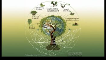 The Process Symphony: Orchestrating Growth and Vision