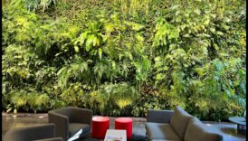 Vertical Oasis: Transforming Spaces with Unique Garden Heights