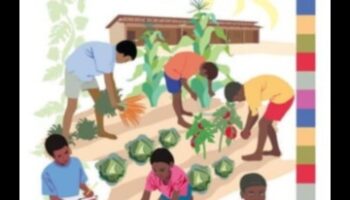 Καλλιεργώντας μυαλά: Ένα προσχέδιο για την επιτυχία της εκπαίδευσης στον κήπο