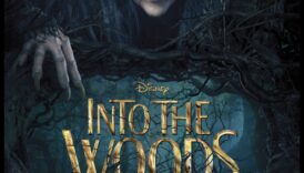 Mystical Woodlands: Forests That Transport You