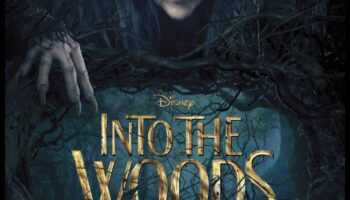 Mystical Woodlands: Forests That Transport You