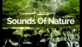 Τοπία στη μουσική: Μελωδίες που αντηχούν τη φυσική ομορφιά