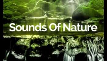 Τοπία στη μουσική: Μελωδίες που αντηχούν τη φυσική ομορφιά