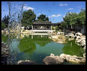 Green Sanctuaries II: Rediscovering Gardens and Green Havens New
